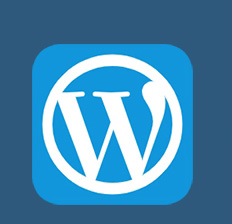 如何通过密码保护WordPress的内容