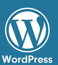 WordPress 使用 PDF Embedder 直接嵌入显示PDF文件