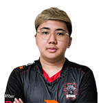 Dota2-Yopaj