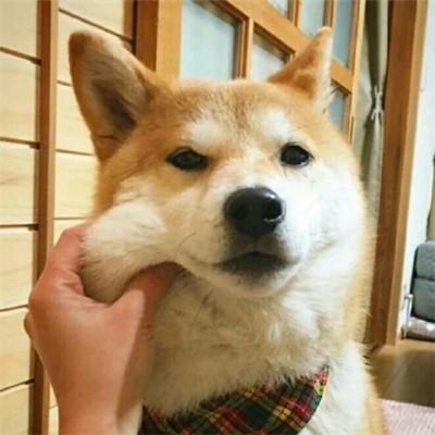 费德里科·费里尼