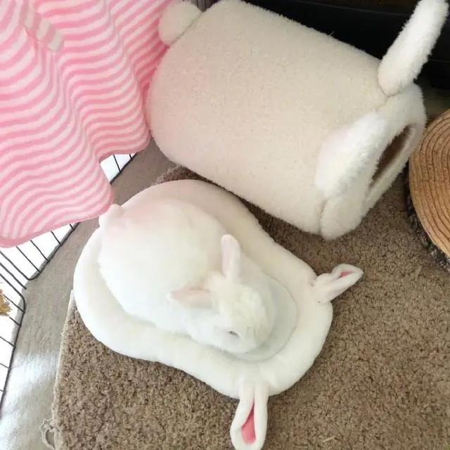 费德里科·费里尼